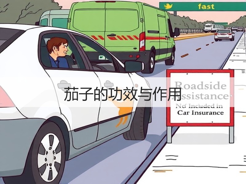 茄子的功效与作用