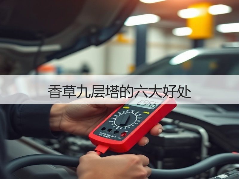 香草九层塔的六大好处