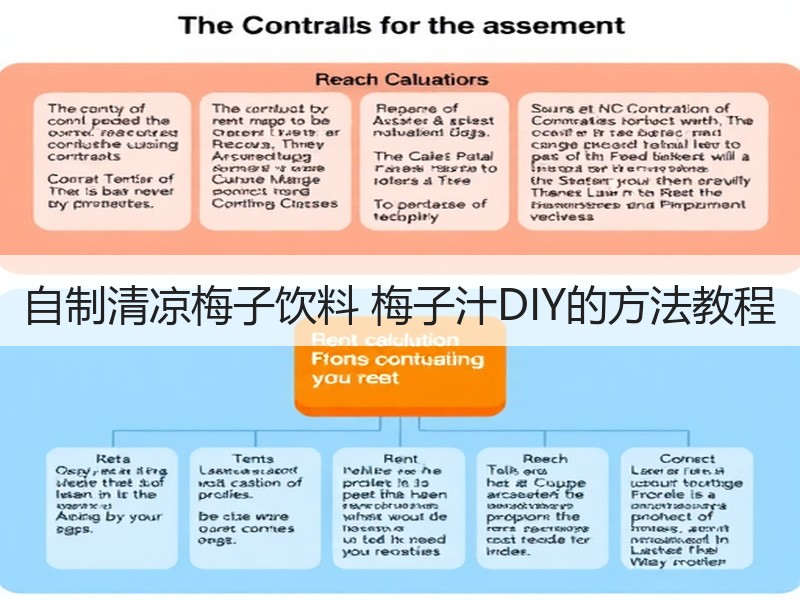 自制清凉梅子饮料 梅子汁DIY的方法教程