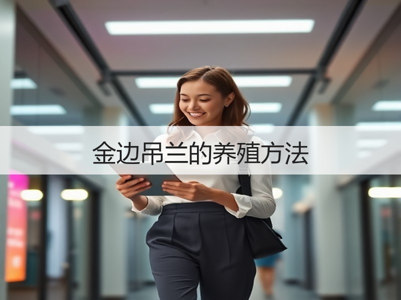 金边吊兰的养殖方法