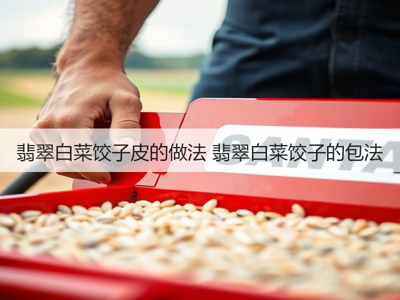 翡翠白菜饺子皮的做法 翡翠白菜饺子的包法