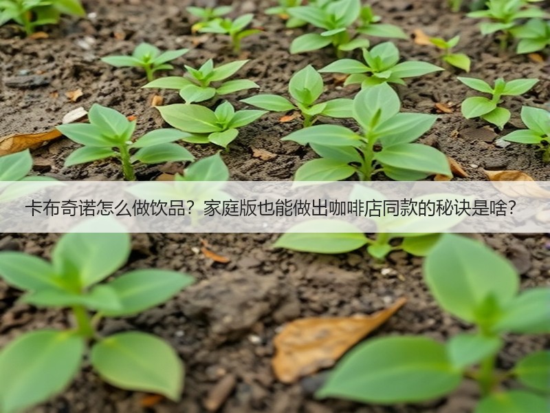 卡布奇诺怎么做饮品？家庭版也能做出咖啡店同款的秘诀是啥？