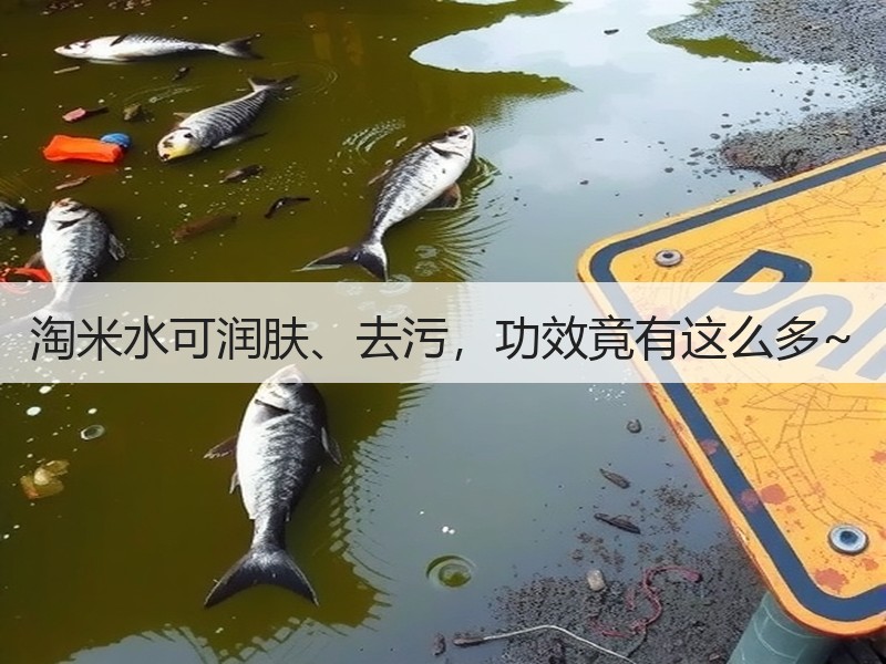 淘米水可润肤、去污，功效竟有这么多~