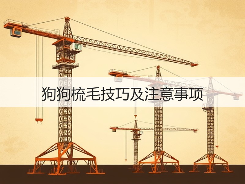 狗狗梳毛技巧及注意事项