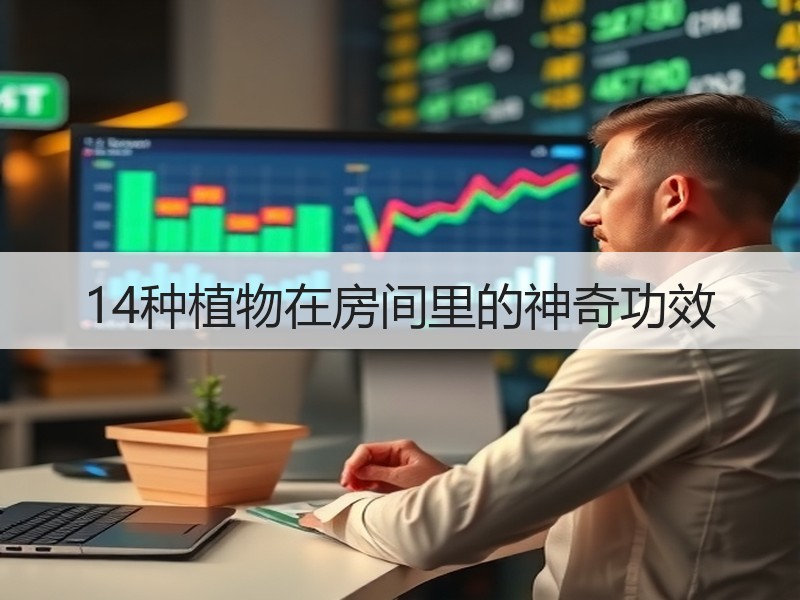 14种植物在房间里的神奇功效