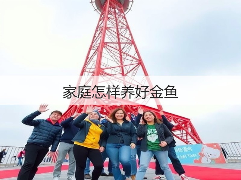 家庭怎样养好金鱼