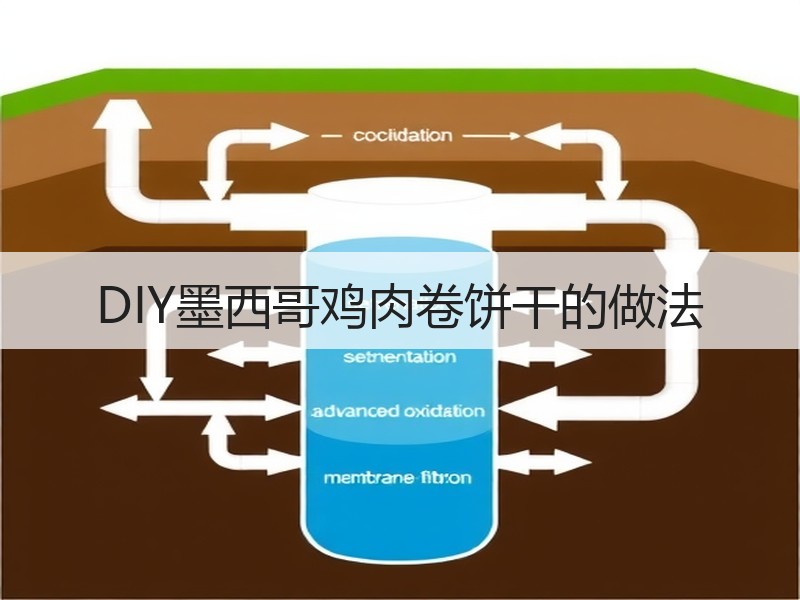 DIY墨西哥鸡肉卷饼干的做法