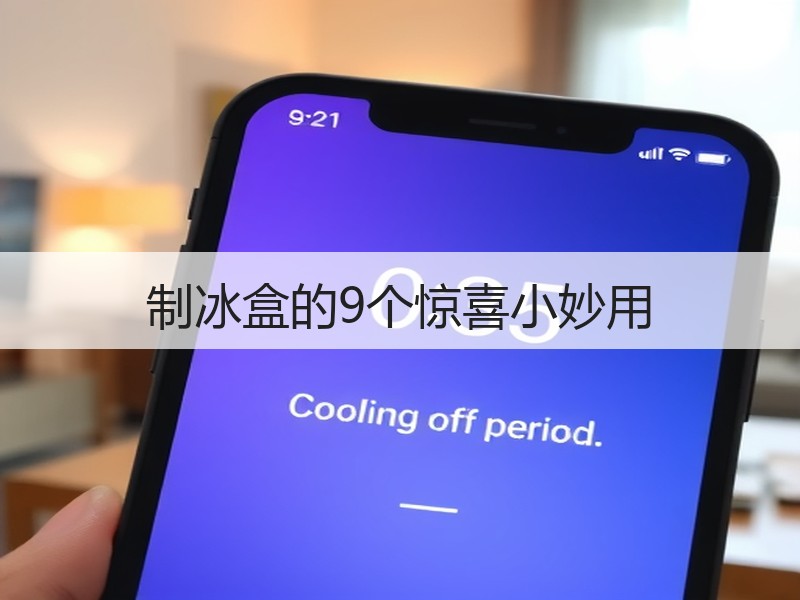 制冰盒的9个惊喜小妙用