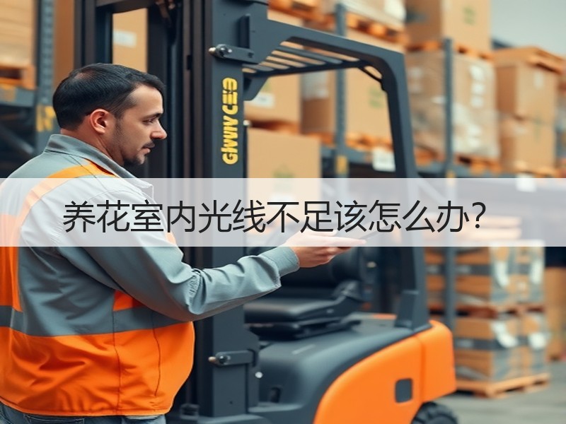 养花室内光线不足该怎么办？