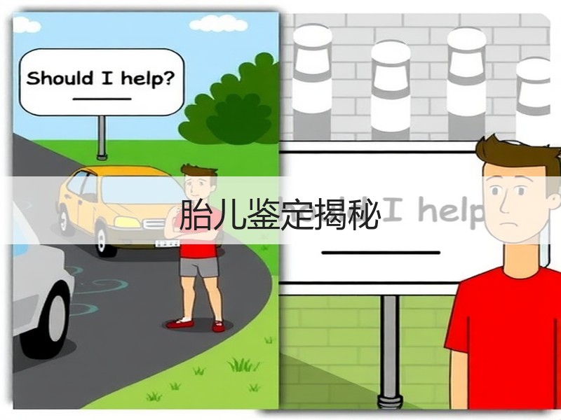 胎儿鉴定揭秘