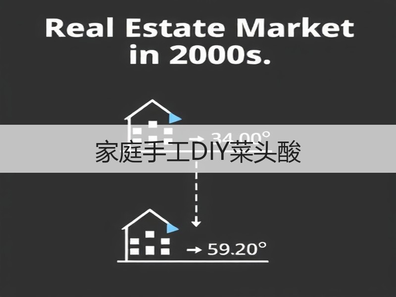 家庭手工DIY菜头酸