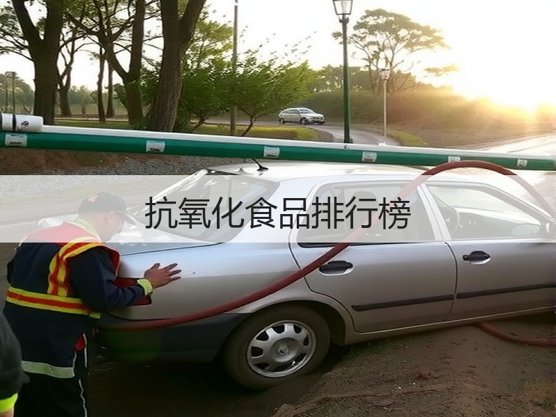 抗氧化食品排行榜