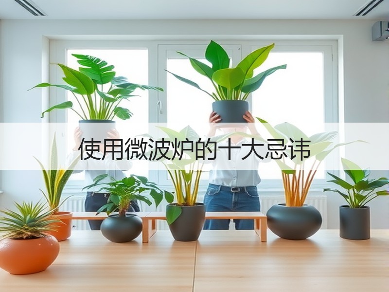 使用微波炉的十大忌讳