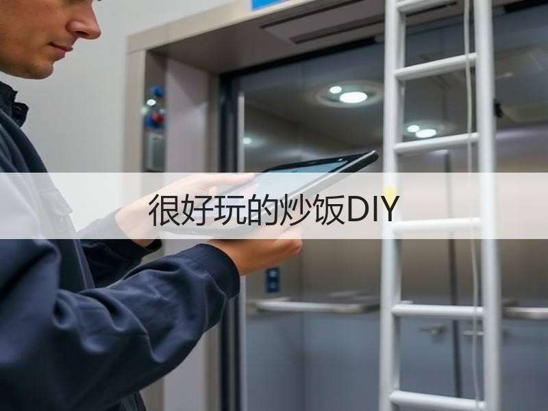 很好玩的炒饭DIY