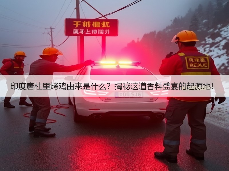 印度唐杜里烤鸡由来是什么？揭秘这道香料盛宴的起源地！