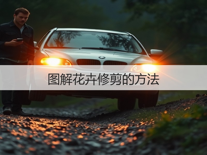 图解花卉修剪的方法