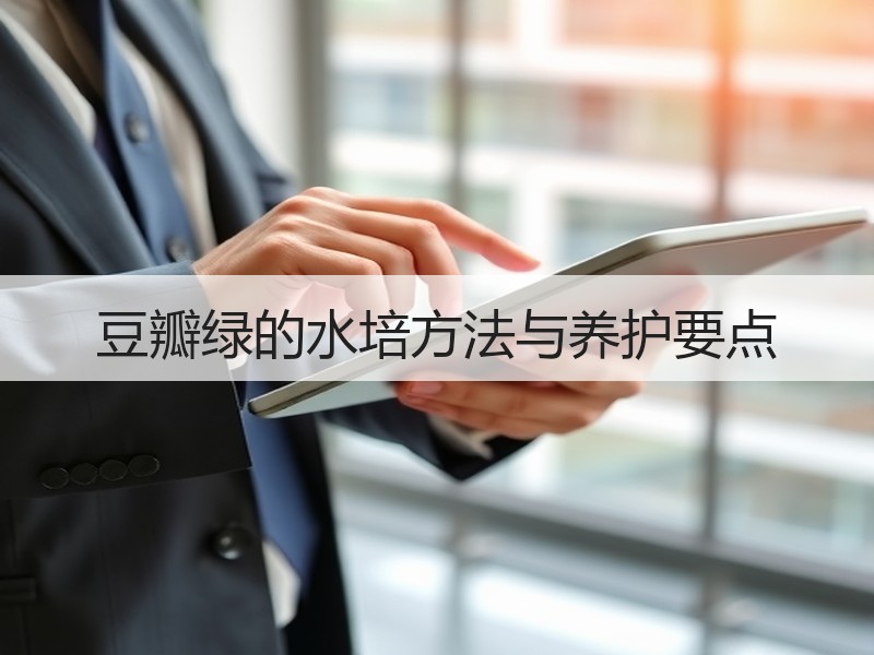 豆瓣绿的水培方法与养护要点