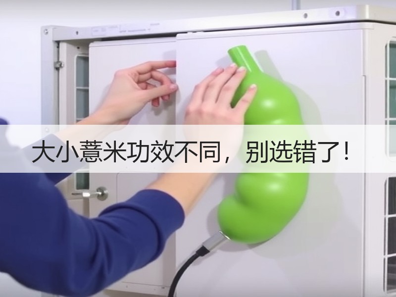大小薏米功效不同，别选错了！
