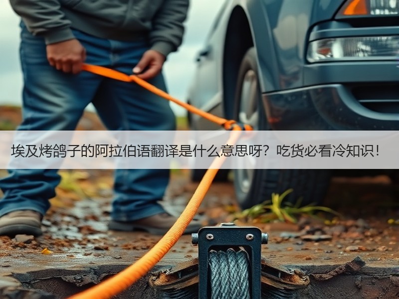 埃及烤鸽子的阿拉伯语翻译是什么意思呀？吃货必看冷知识！
