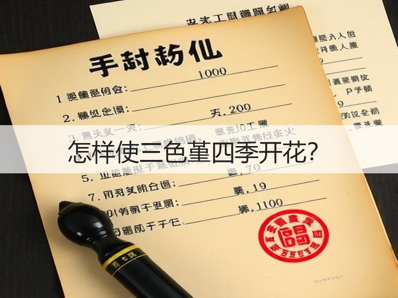 怎样使三色堇四季开花？
