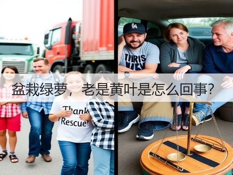 盆栽绿萝，老是黄叶是怎么回事？
