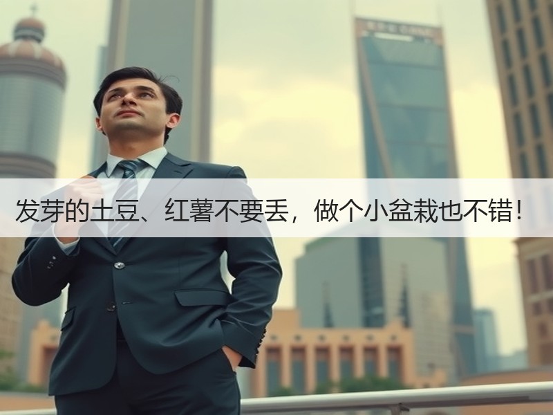 发芽的土豆、红薯不要丢，做个小盆栽也不错！