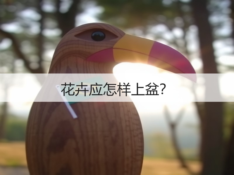 花卉应怎样上盆？