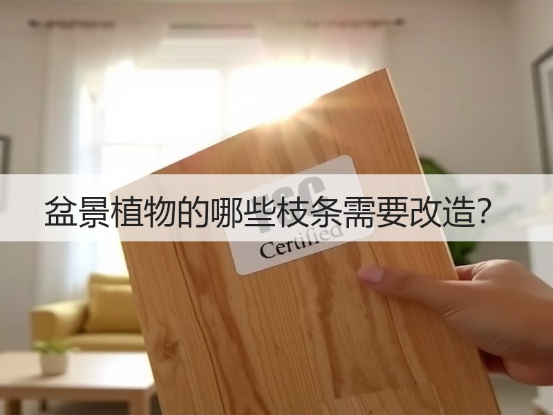 盆景植物的哪些枝条需要改造？