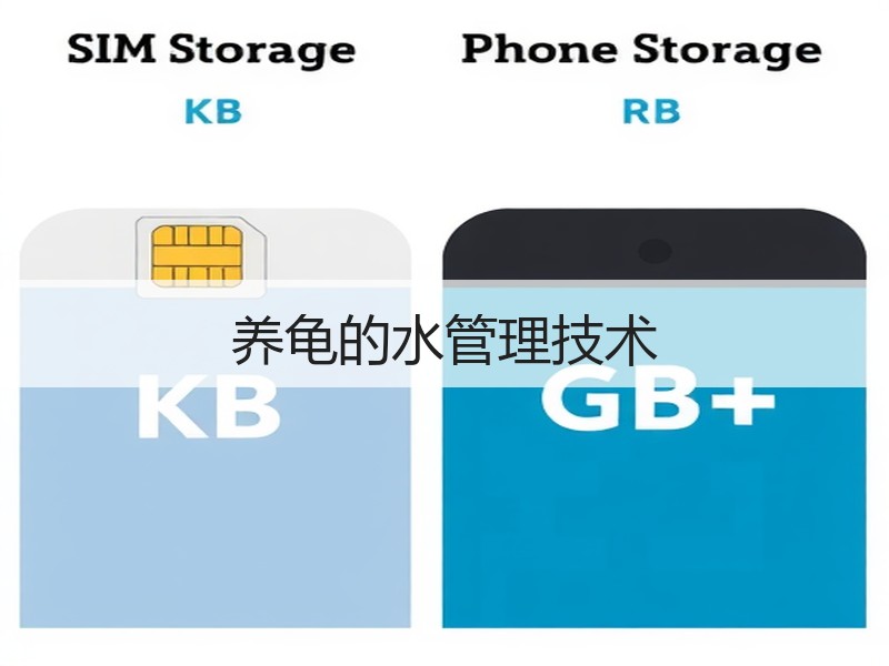 养龟的水管理技术