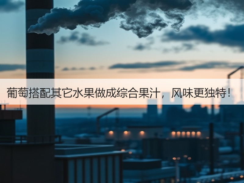 葡萄搭配其它水果做成综合果汁，风味更独特！