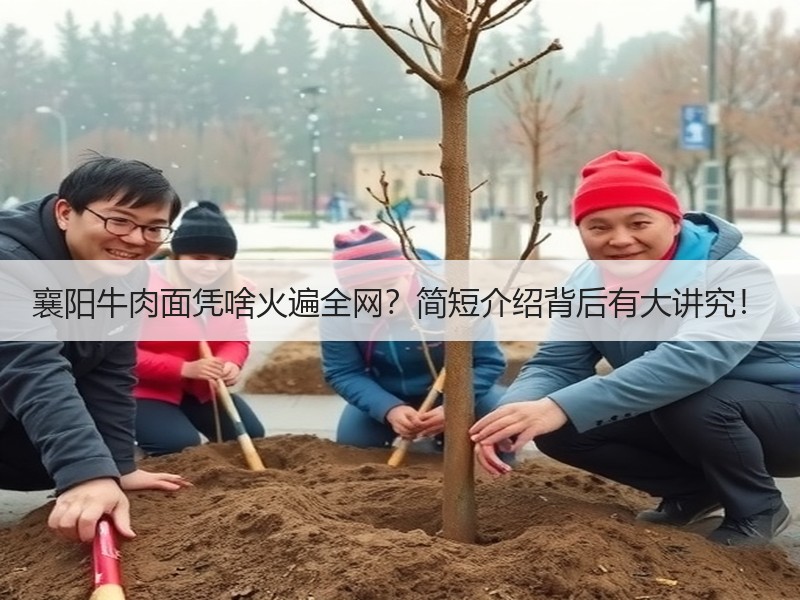 襄阳牛肉面凭啥火遍全网？简短介绍背后有大讲究！