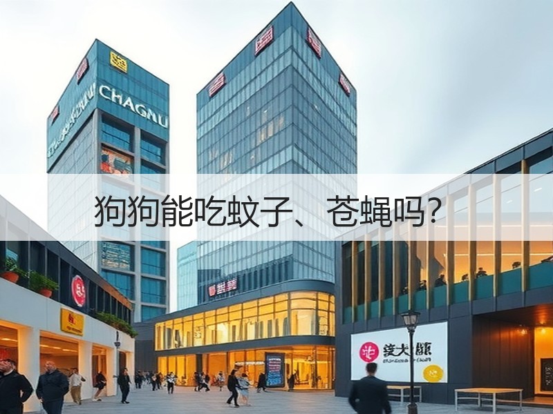 狗狗能吃蚊子、苍蝇吗？