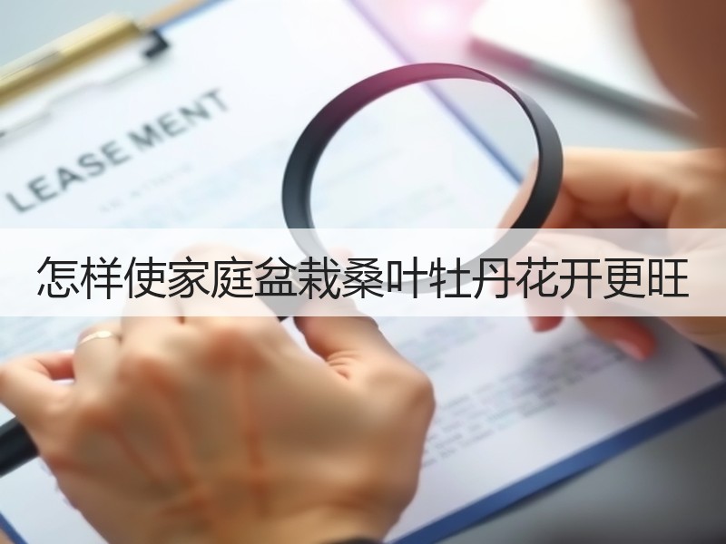 怎样使家庭盆栽桑叶牡丹花开更旺
