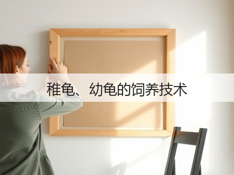 稚龟、幼龟的饲养技术