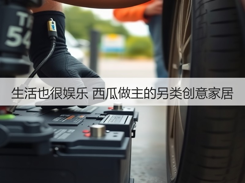 生活也很娱乐 西瓜做主的另类创意家居