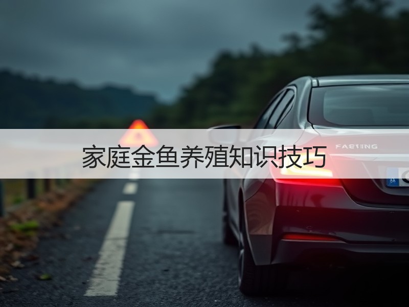 家庭金鱼养殖知识技巧