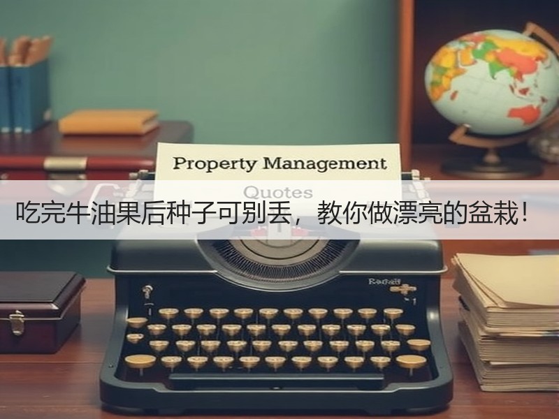 吃完牛油果后种子可别丢，教你做漂亮的盆栽！