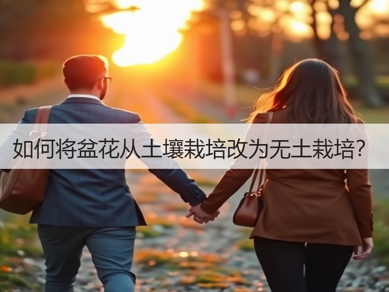 如何将盆花从土壤栽培改为无土栽培？