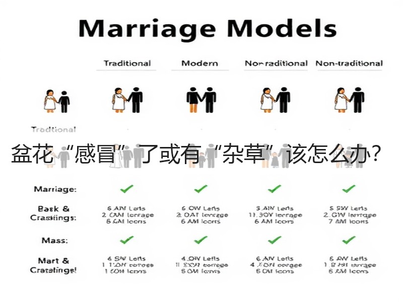 盆花“感冒”了或有“杂草”该怎么办？
