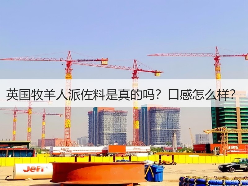 英国牧羊人派佐料是真的吗？口感怎么样？