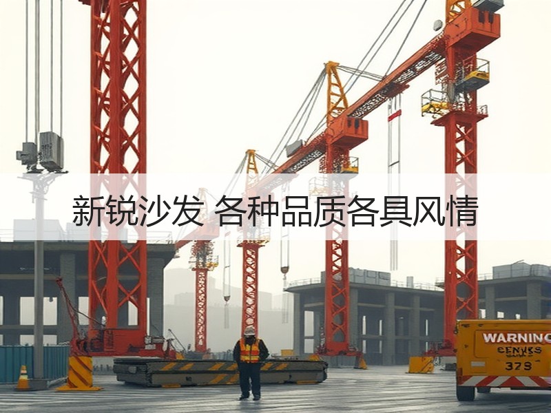 新锐沙发 各种品质各具风情