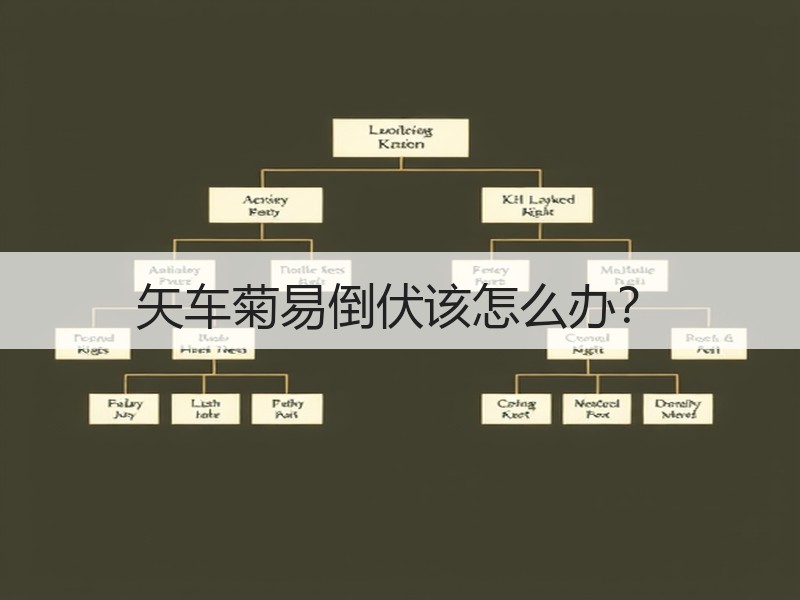 矢车菊易倒伏该怎么办？
