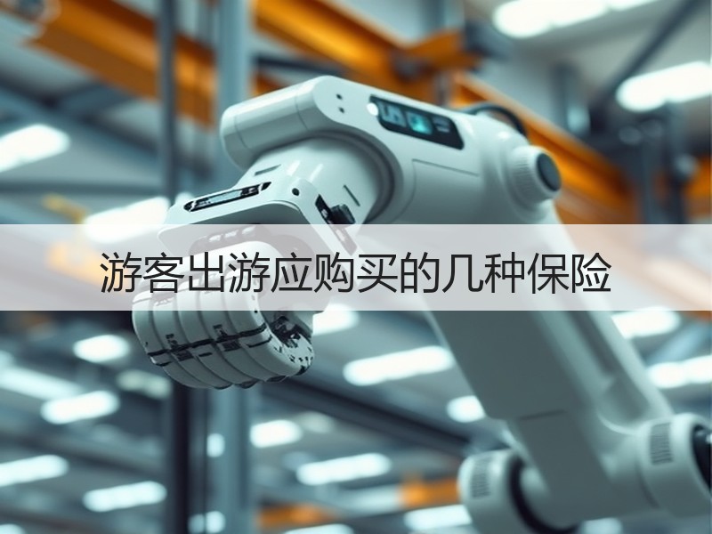 游客出游应购买的几种保险