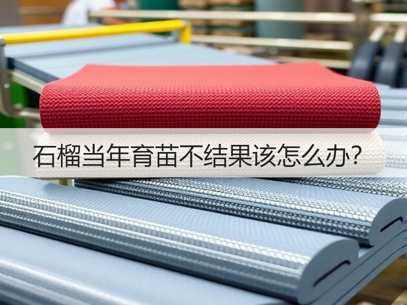 石榴当年育苗不结果该怎么办？