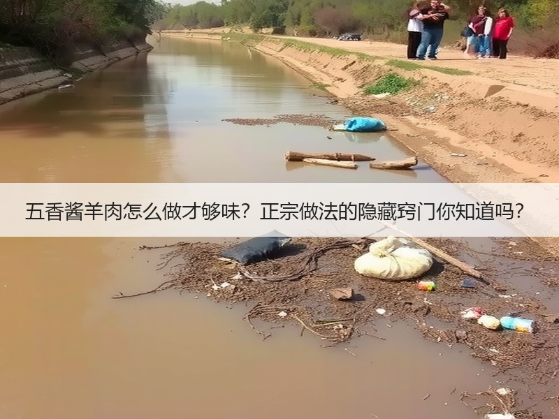 五香酱羊肉怎么做才够味？正宗做法的隐藏窍门你知道吗？