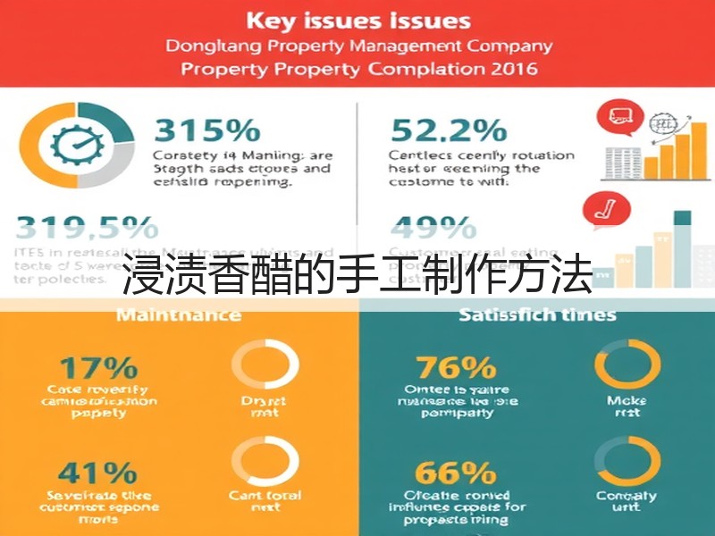 浸渍香醋的手工制作方法