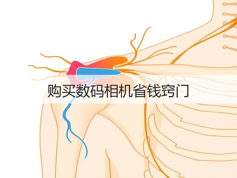 购买数码相机省钱窍门