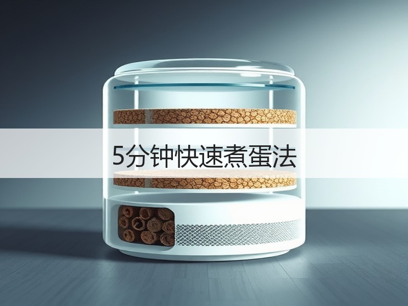 5分钟快速煮蛋法