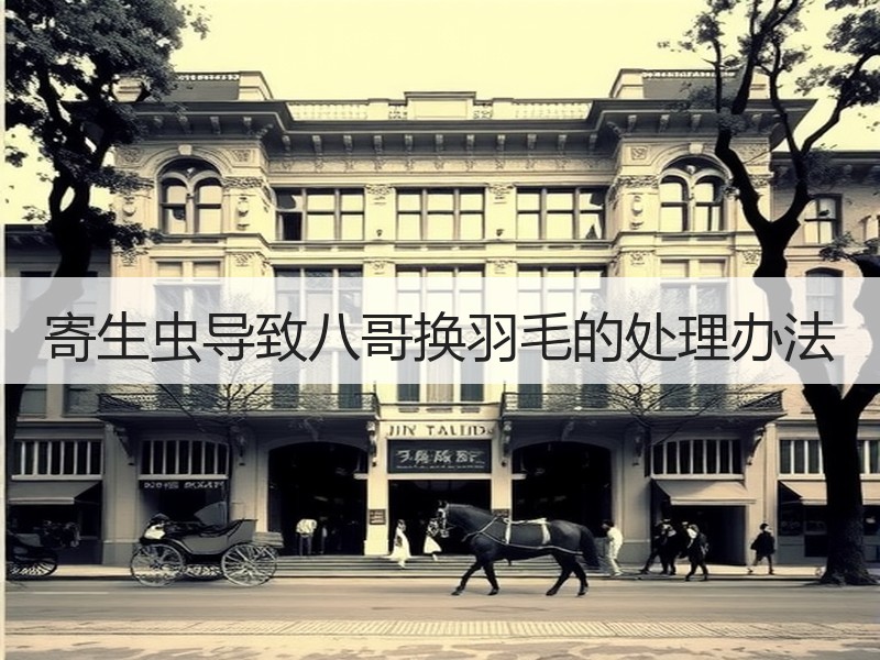 寄生虫导致八哥换羽毛的处理办法