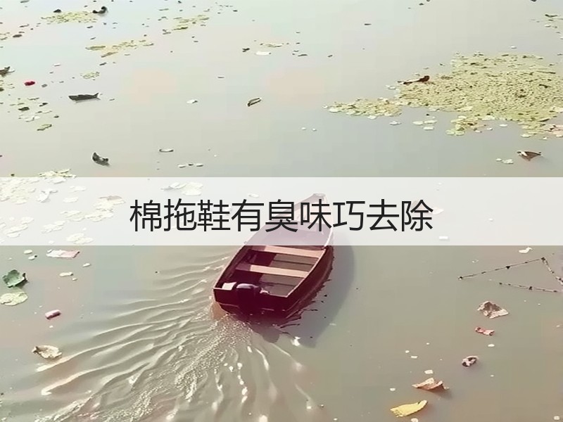 棉拖鞋有臭味巧去除